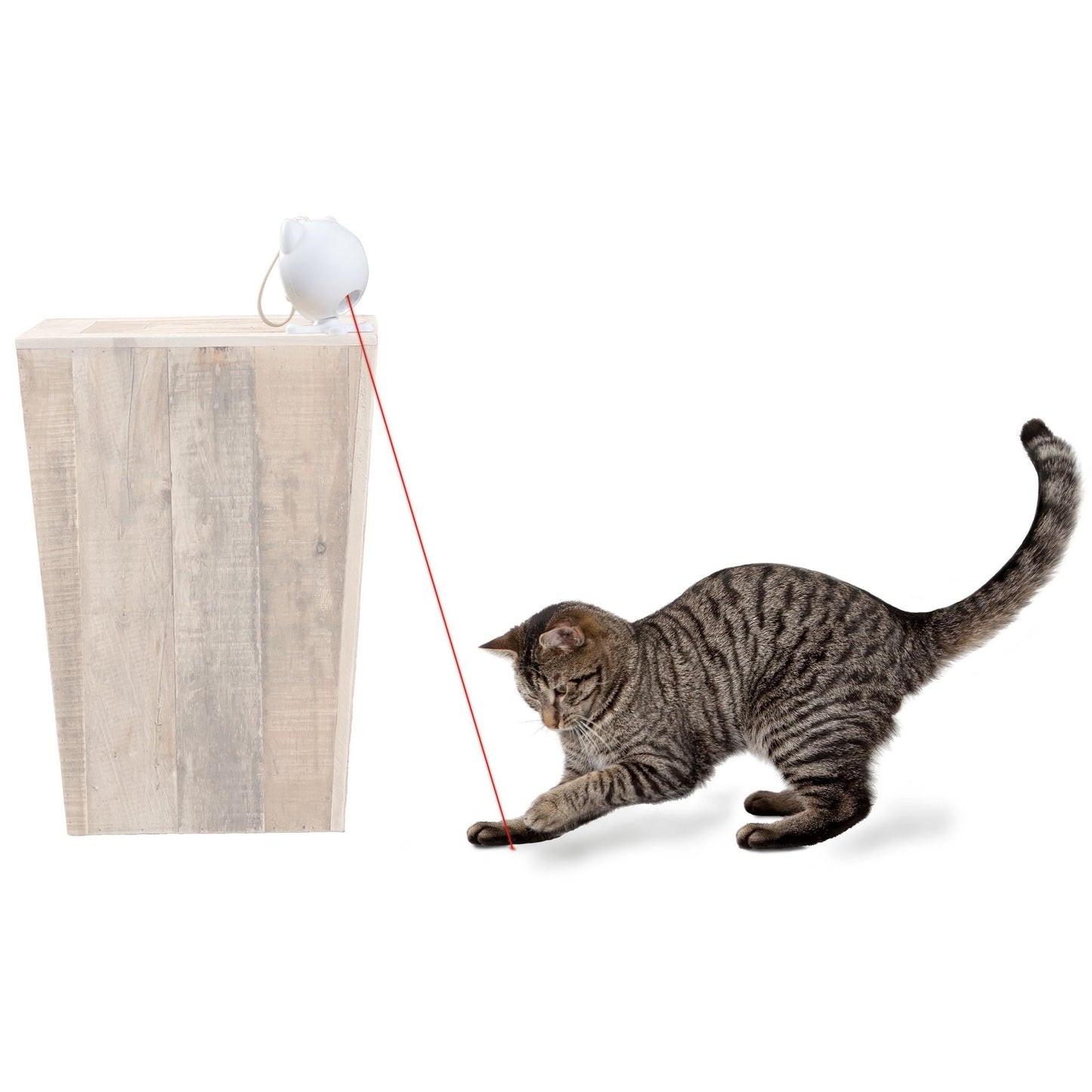 PetSafe Dancing Dot Laser Cat Toy