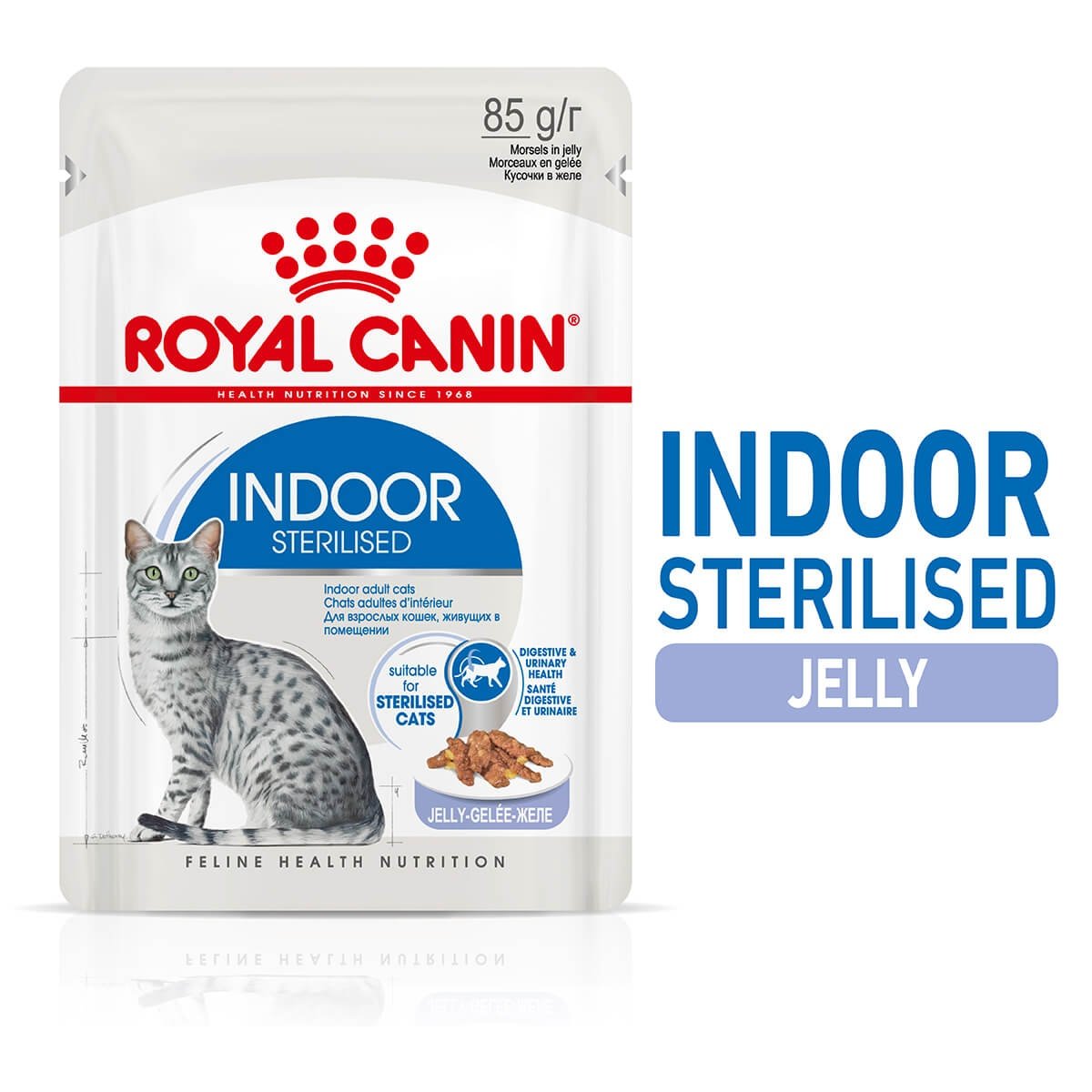 Royal Canin Indoor Jelly Wet Cat Food 85g