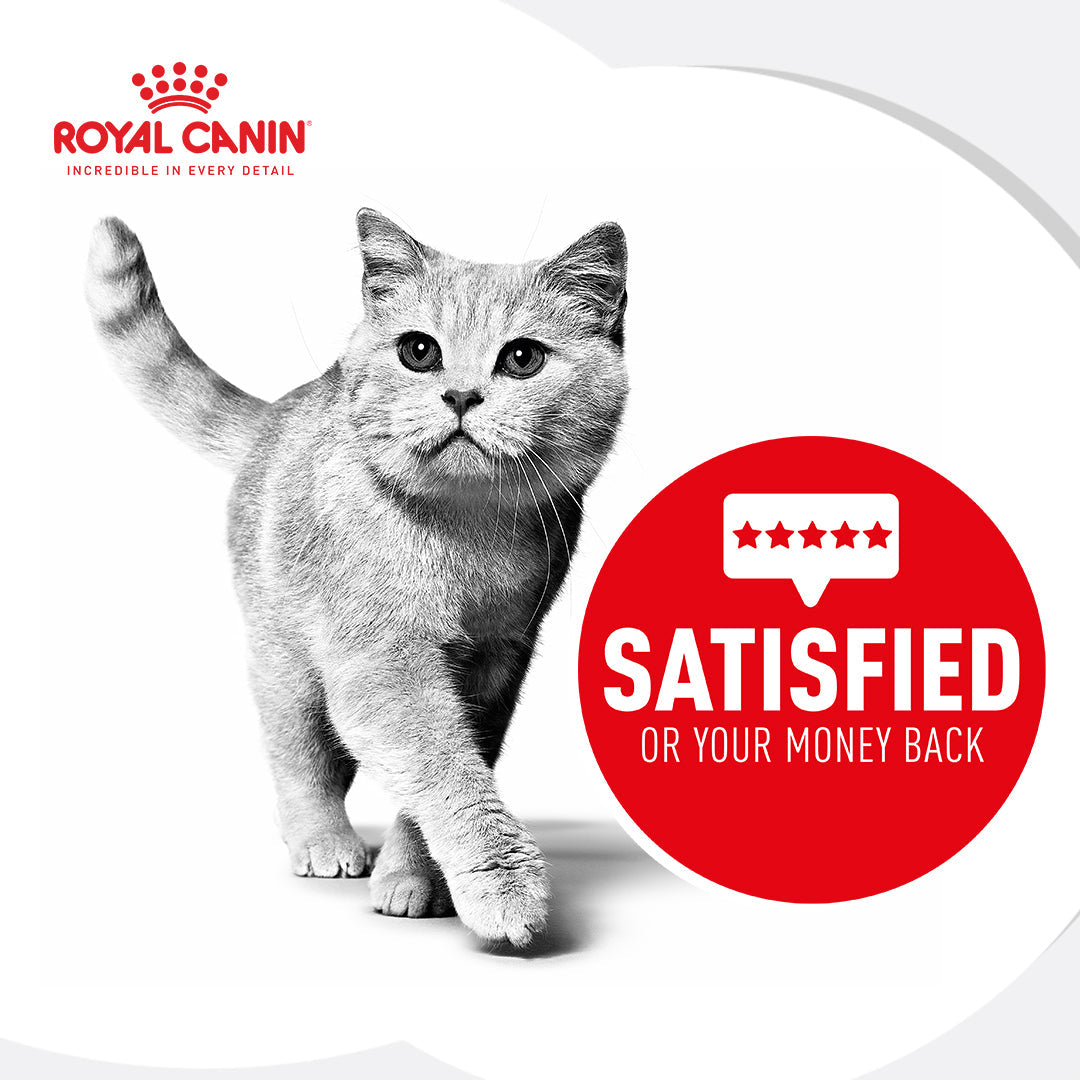 Royal Canin Indoor 7+ Adult Gravy Wet Cat Food 85g