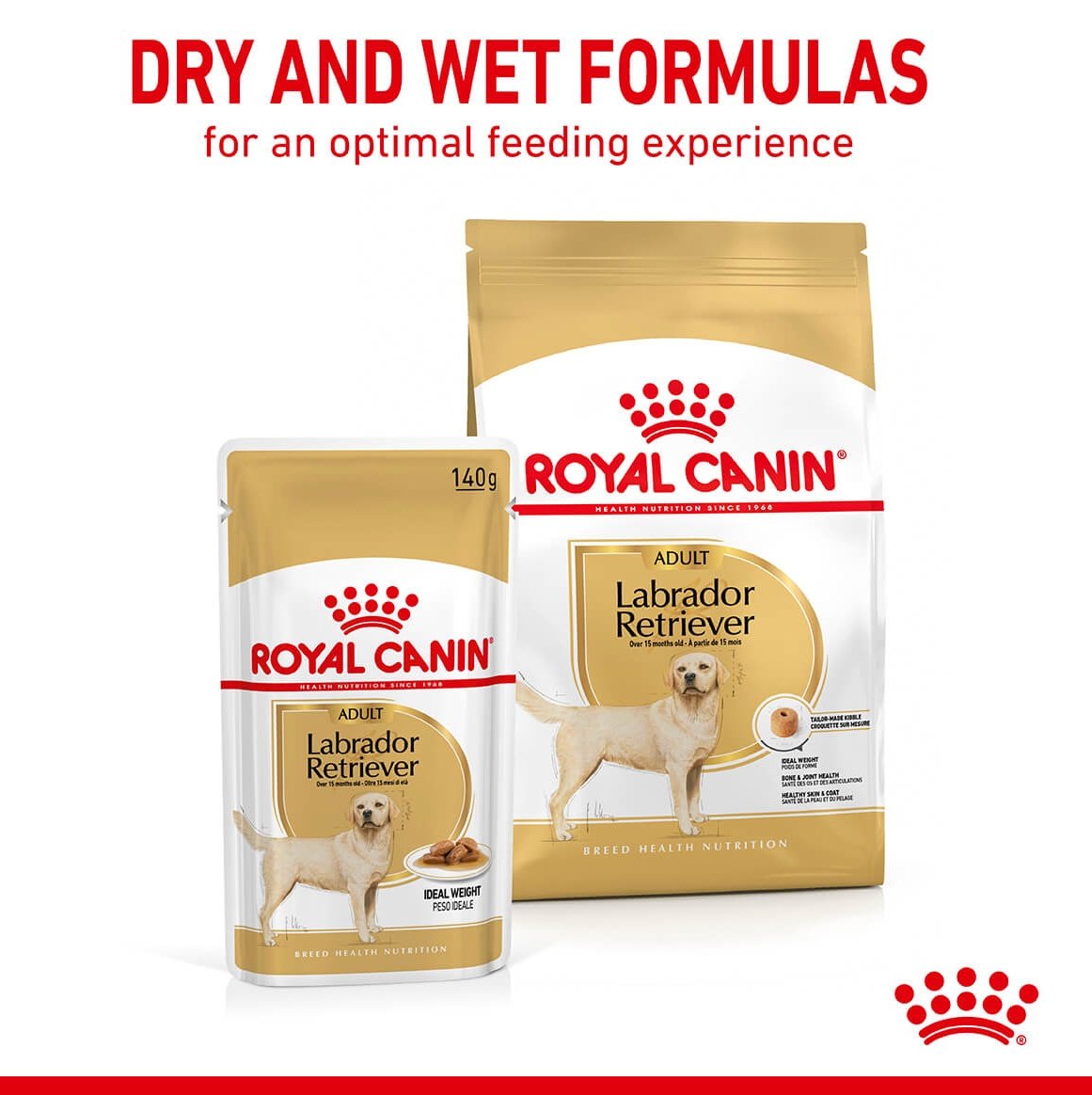 Royal Canin Labrador Retriever Loaf Wet Dog Food 140g