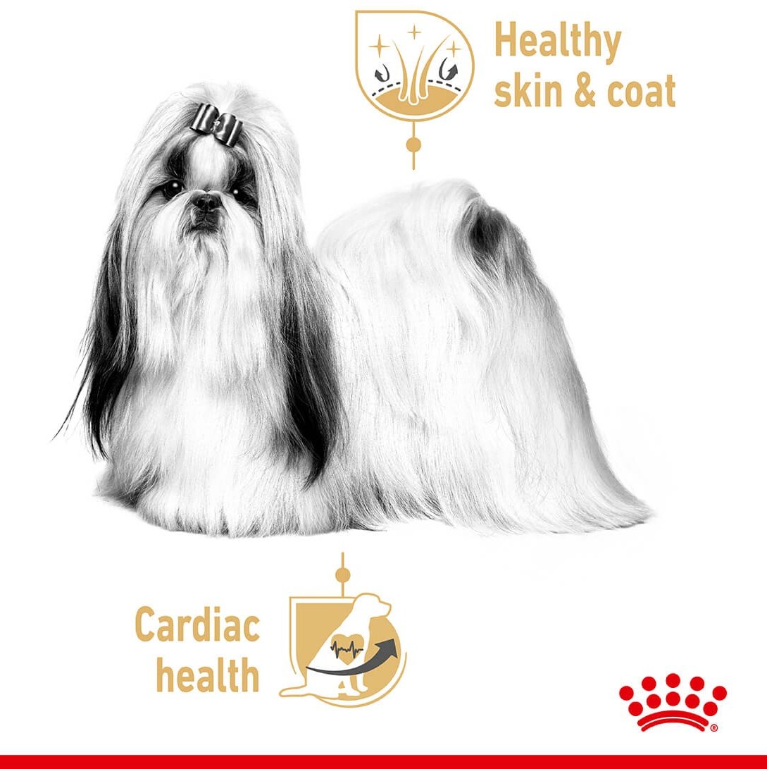 Royal Canin Shih Tzu Loaf Wet Dog Food 85g