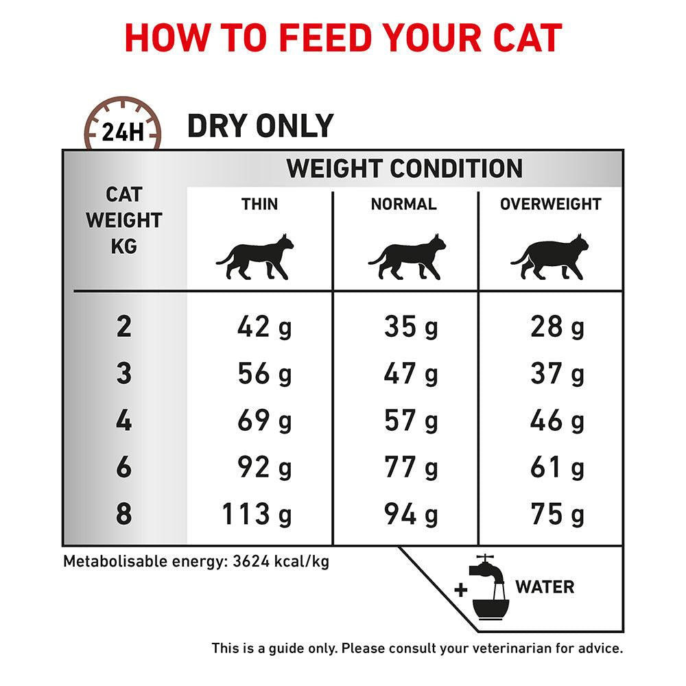 ROYAL CANIN VETERINARY DIET Gastrointestinal Hairball Adult Dry Cat Food