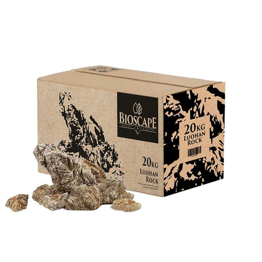Bioscape Luohan Scaping Rock Per KG