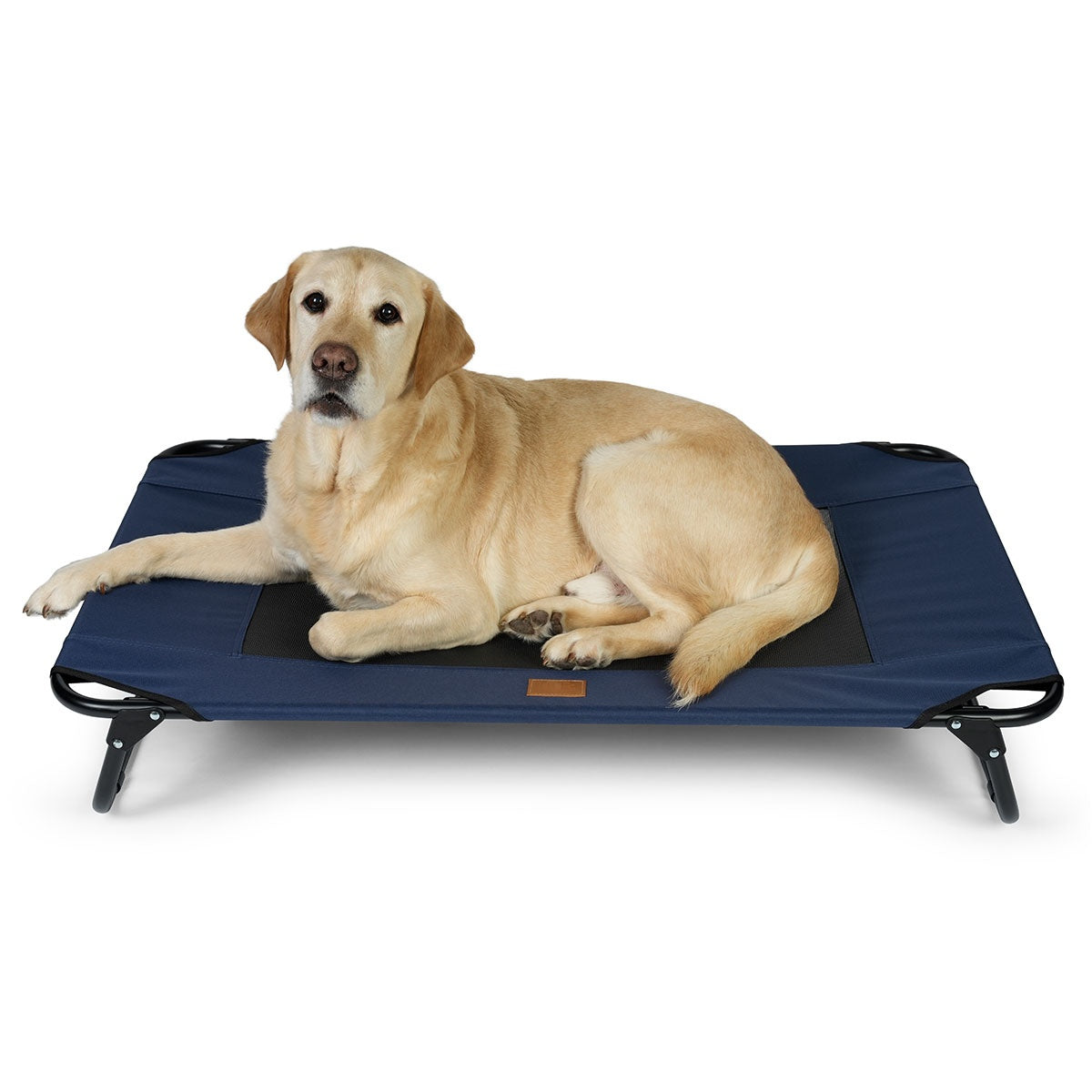Buddy & Belle Deluxe Outdoor Raised Dog Bed Navy
