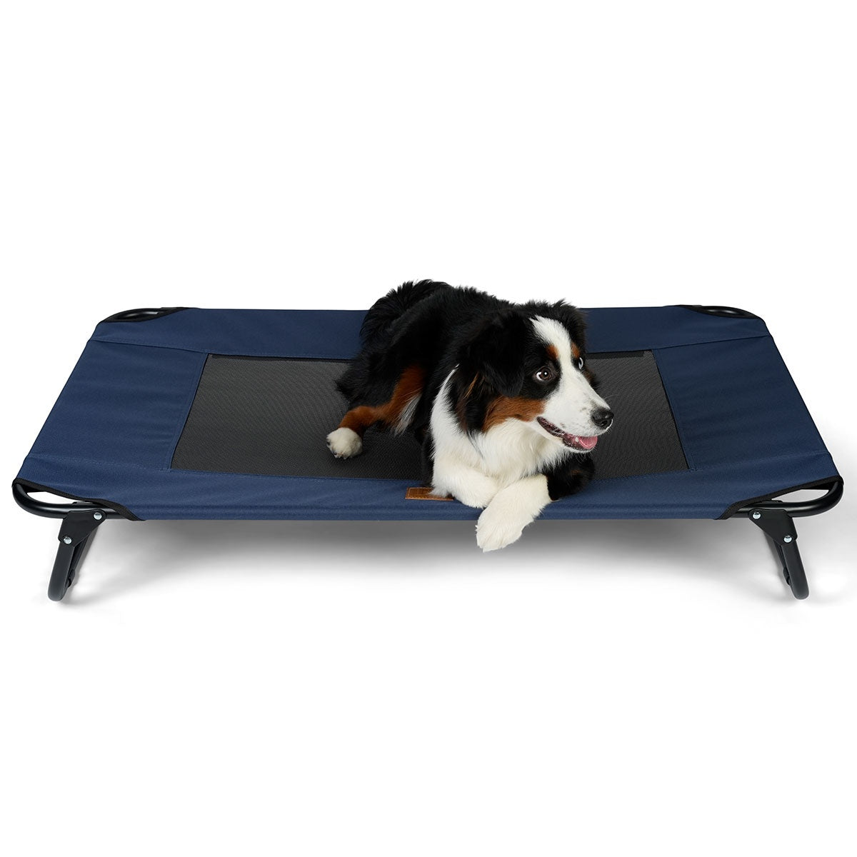 Buddy & Belle Deluxe Outdoor Raised Dog Bed Navy