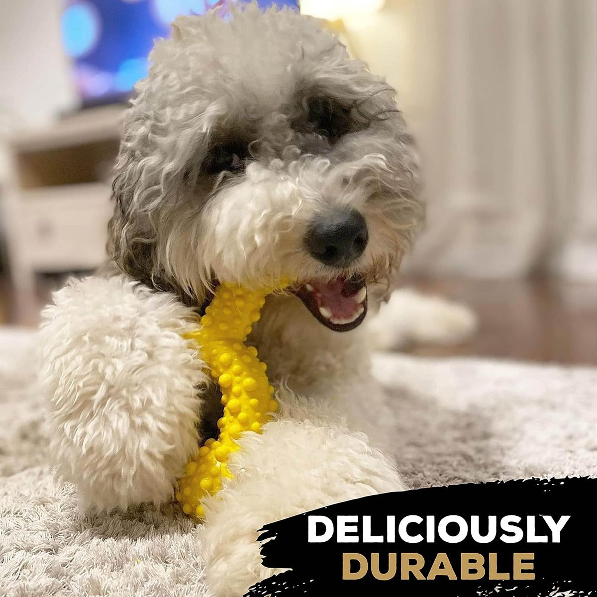 Tasty Bone Chicken Nylon Trio Dog Chew Toy