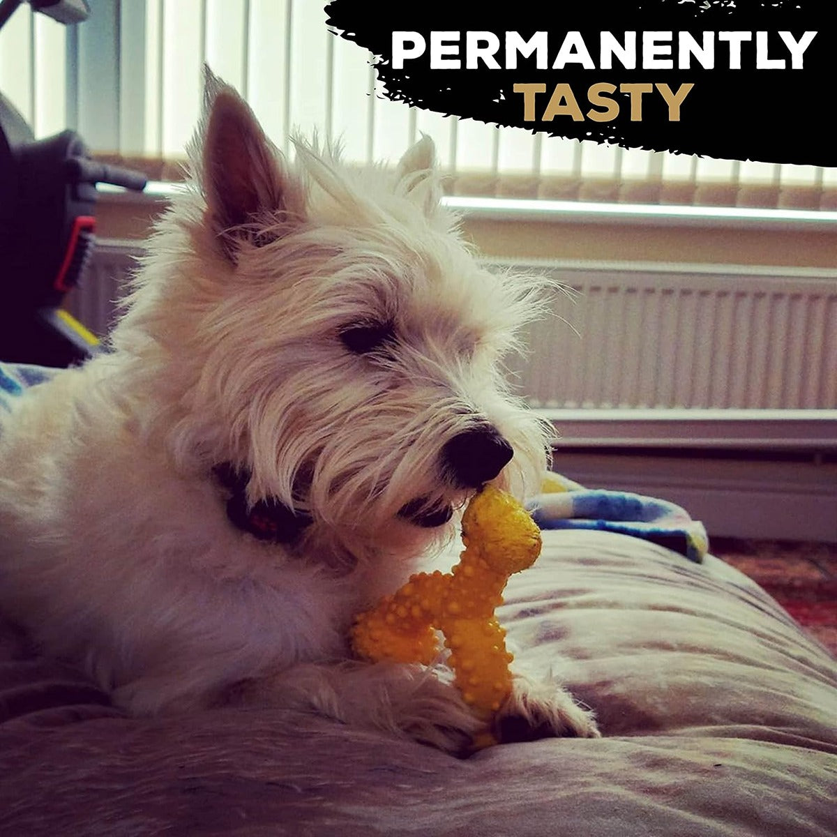 Tasty Bone Chicken Nylon Trio Dog Chew Toy