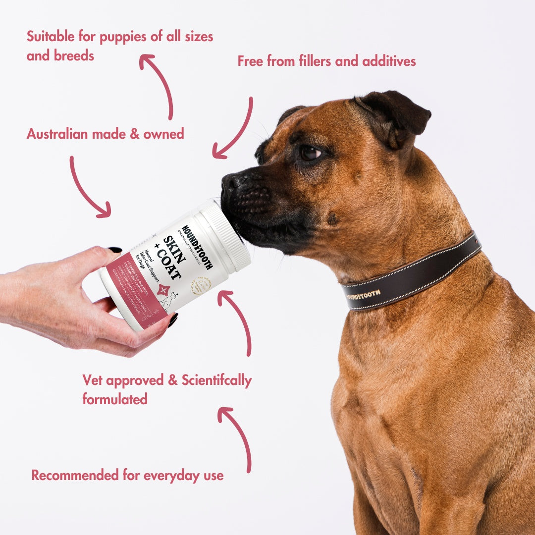 HoundzTooth Skin, Coat & Nails for Dogs 200g