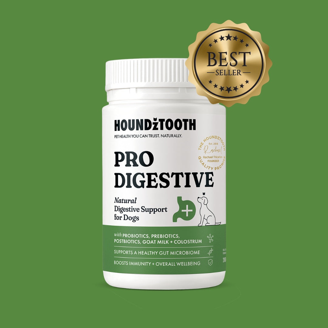 HoundzTooth Prodigestive Aid 200g
