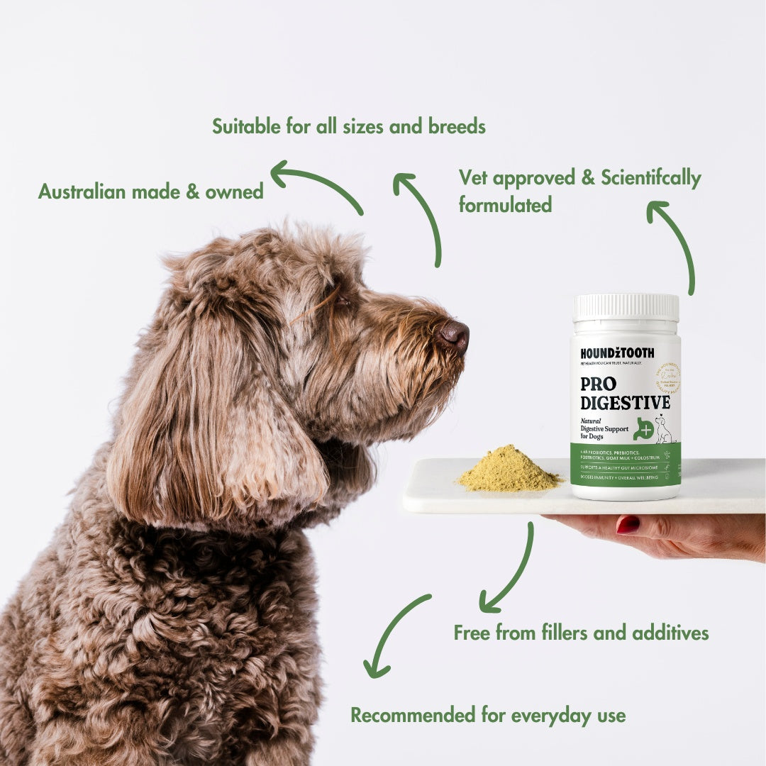 HoundzTooth Prodigestive Aid 200g