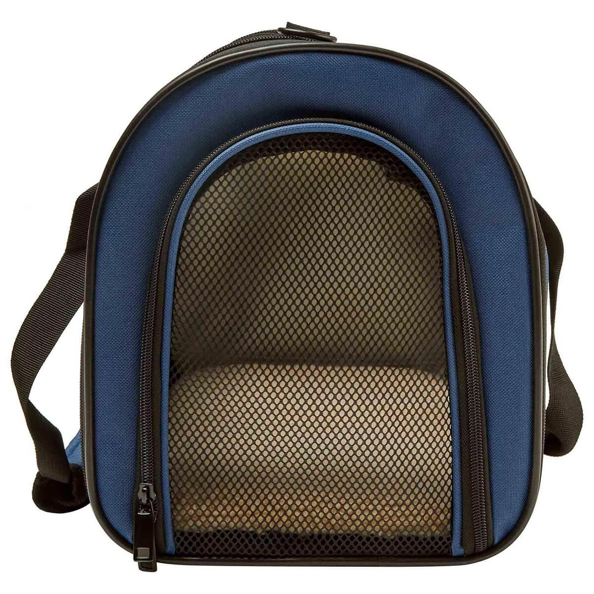 Buddy & Belle Collapsible Cat Carrier