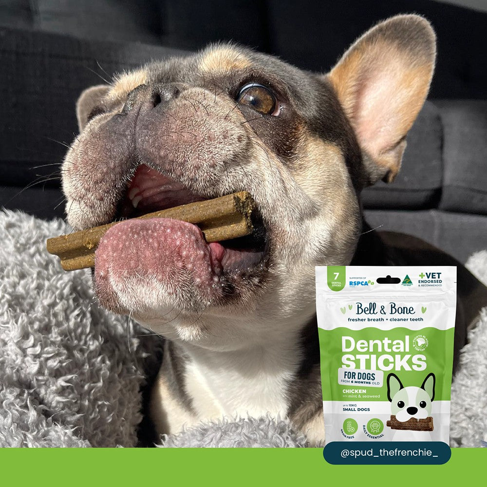 Bell & Bone Chicken, Mint & Seaweed Dental Stick Dog Treats