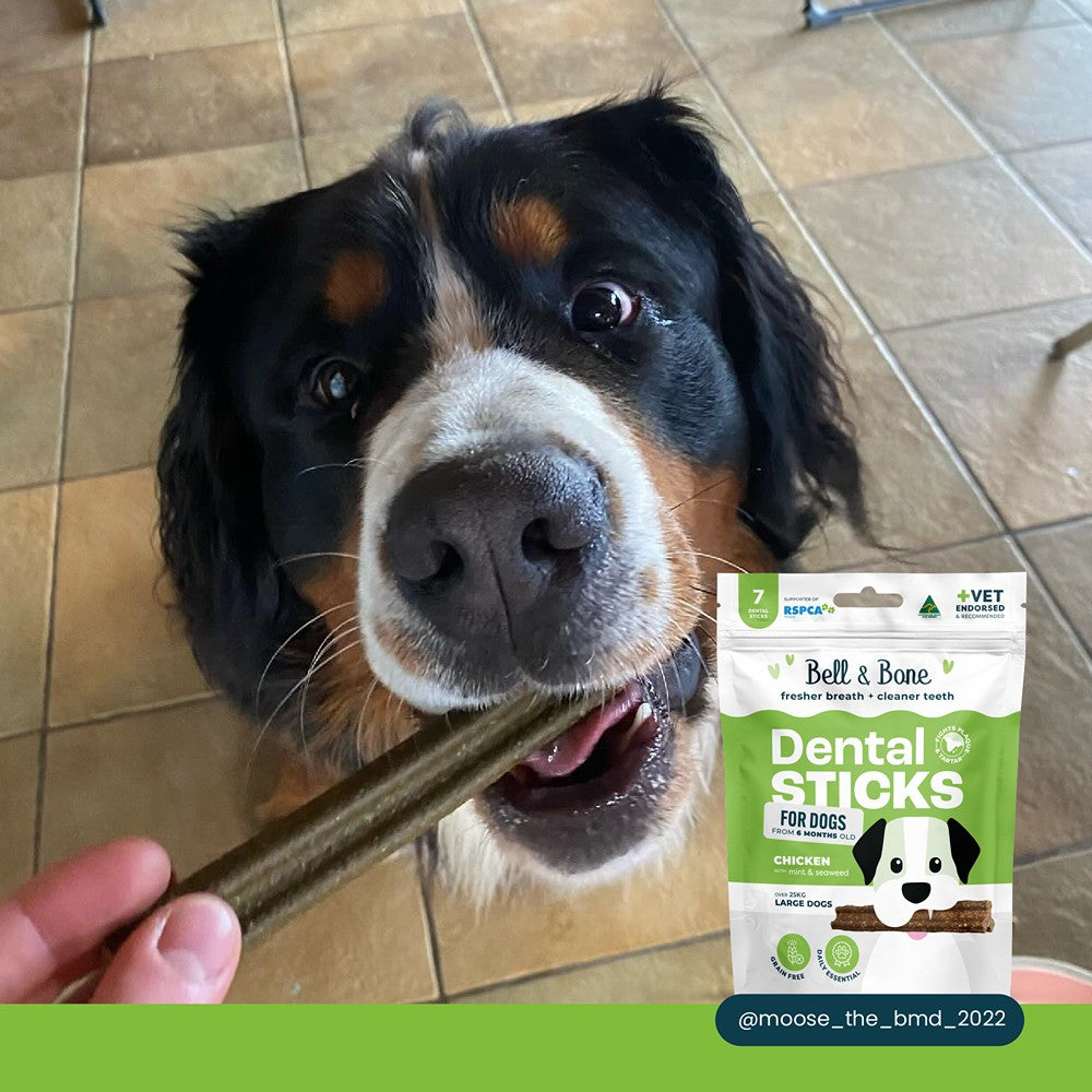 Bell & Bone Chicken, Mint & Seaweed Dental Stick Dog Treats