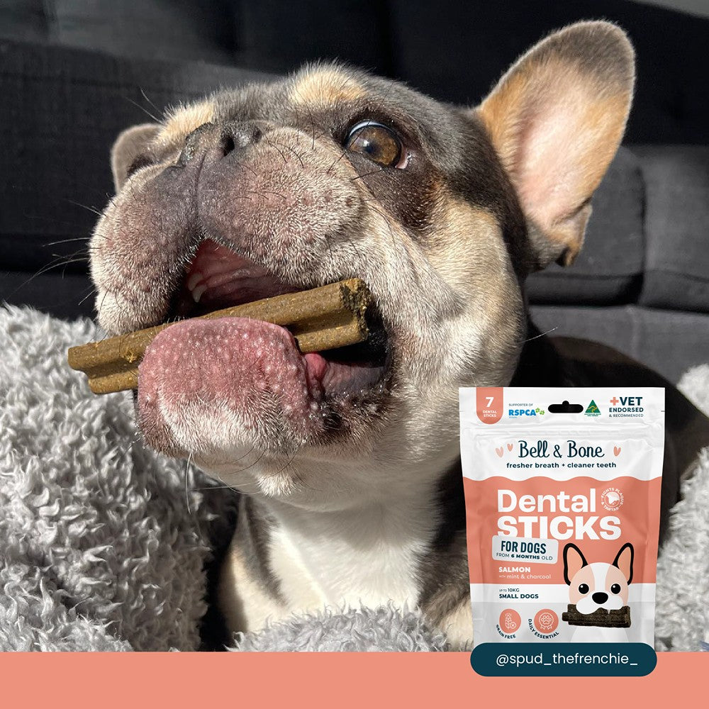 Bell & Bone Salmon, Mint & Charcoal Dental Stick