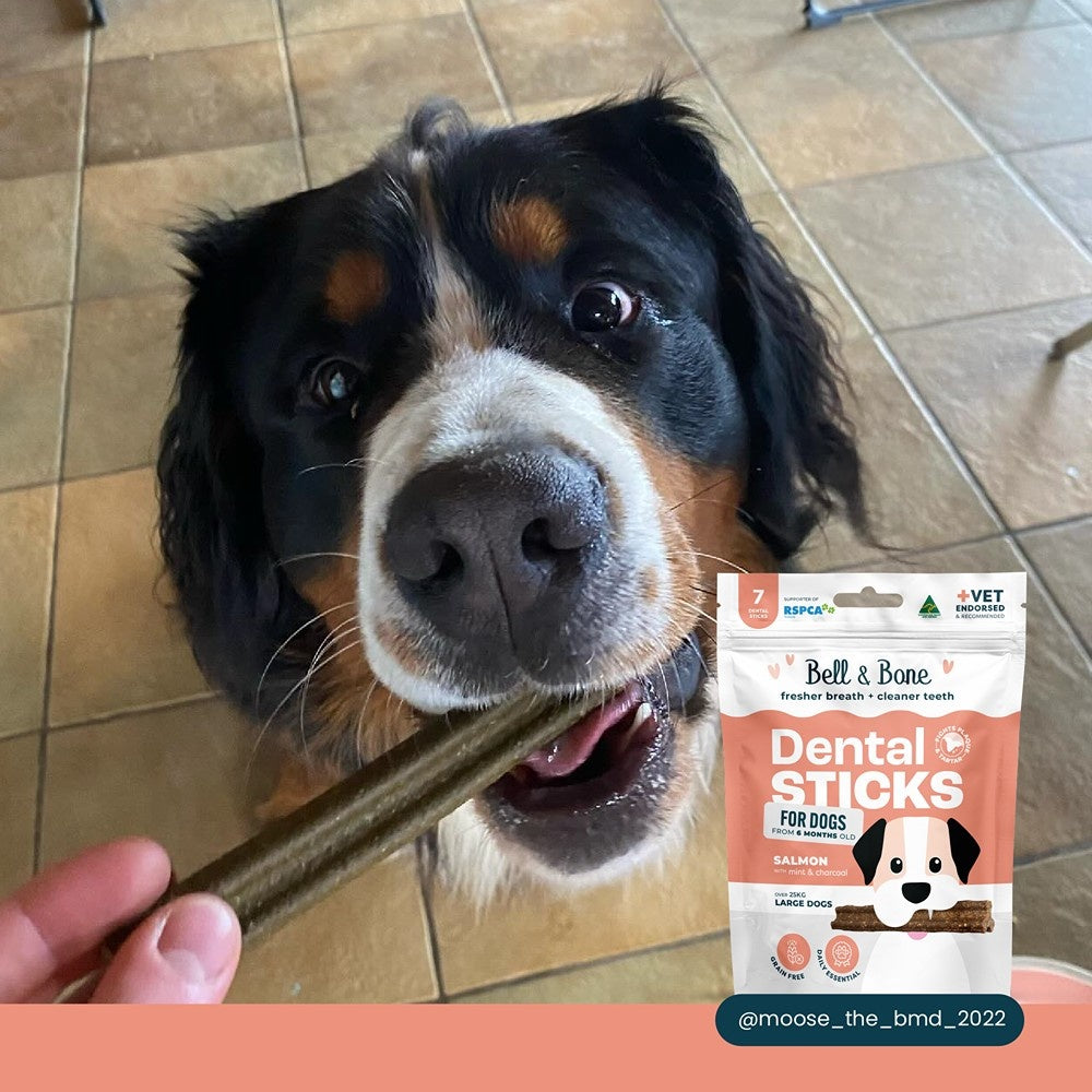Bell & Bone Large Breed Salmon Dental Sticks Dog Treats