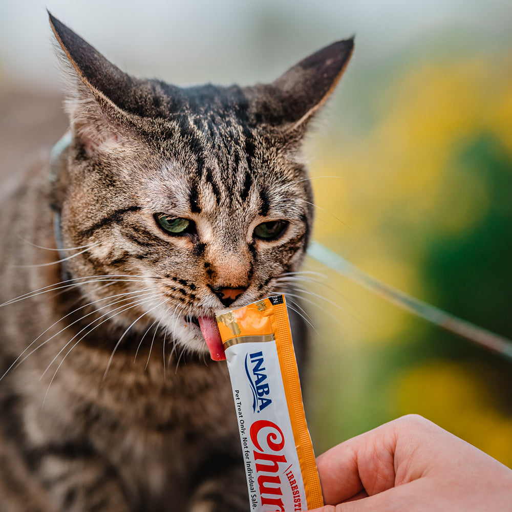 Inaba Churu Puree Chicken Cat Treats