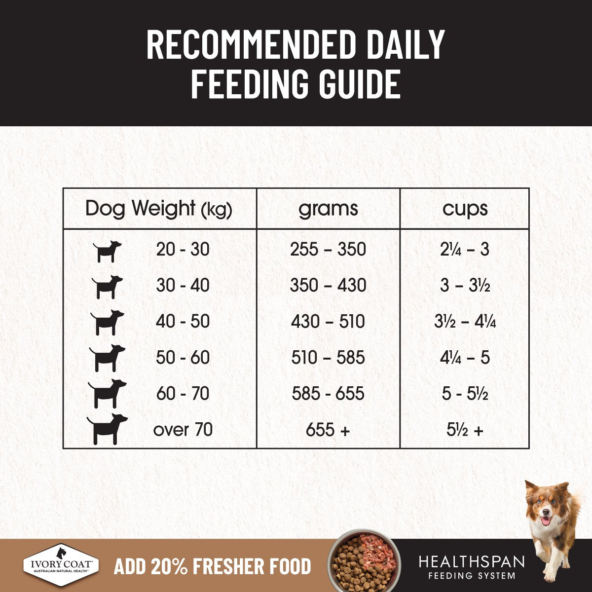 Ivory Coat Grain Free Large Breed Adult Lamb Dry Dog Food