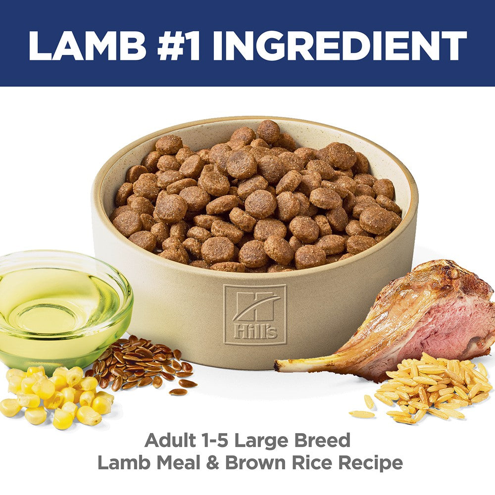 Hill's Science Diet Large Breed Lamb & Rice Adult Dry Dog Food