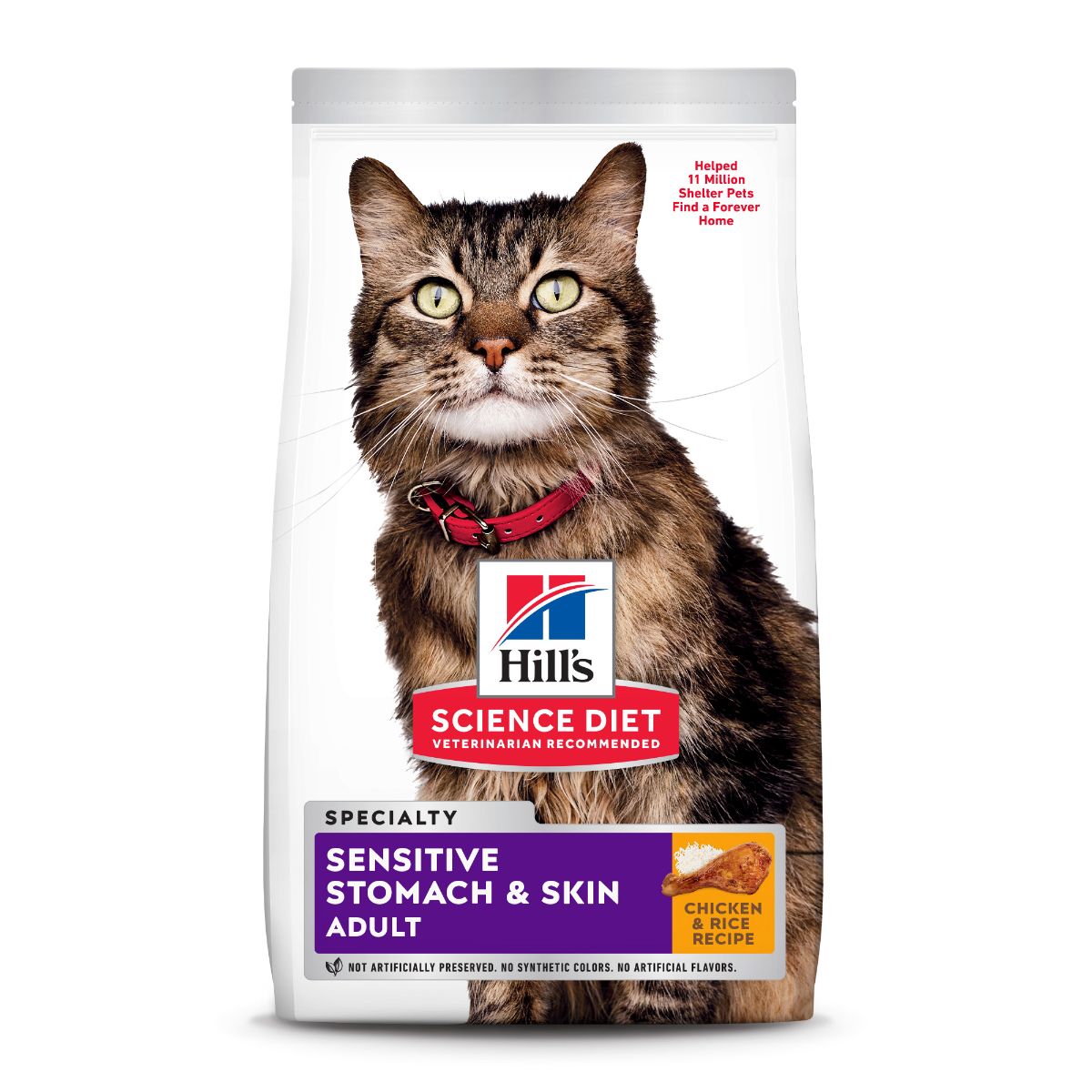 Hill's Science Diet Sensitive Stomach & Skin Adult Chicken Dry Cat Food