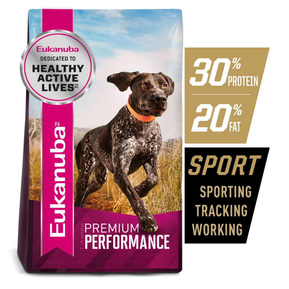 Eukanuba Sport Adult Dry Dog Food