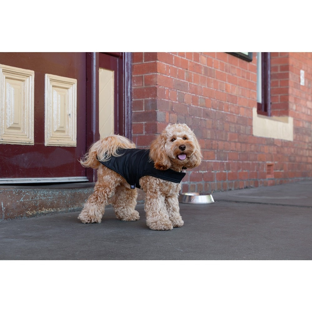 DGG Puffer Dog Jumper Black