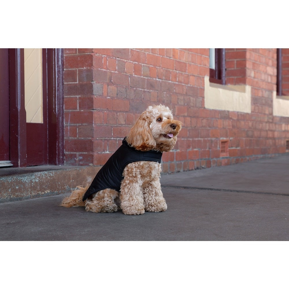 DGG Puffer Dog Jumper Black