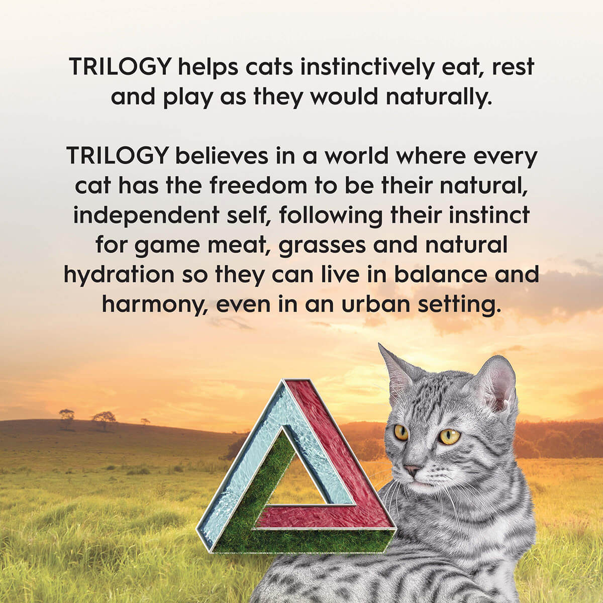 Trilogy Adult Cat Kangaroo Dry Cat Food 1.8kg