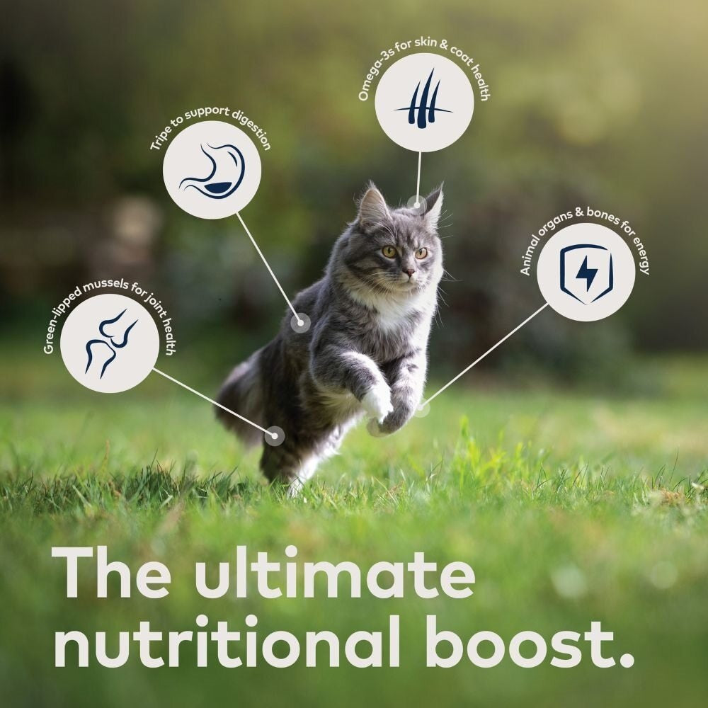 Ziwi Peak Air Dried Mackerel & Lamb Recipe Dry Cat Food