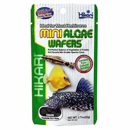 Hikari Mini Algae Wafers Fish Food
