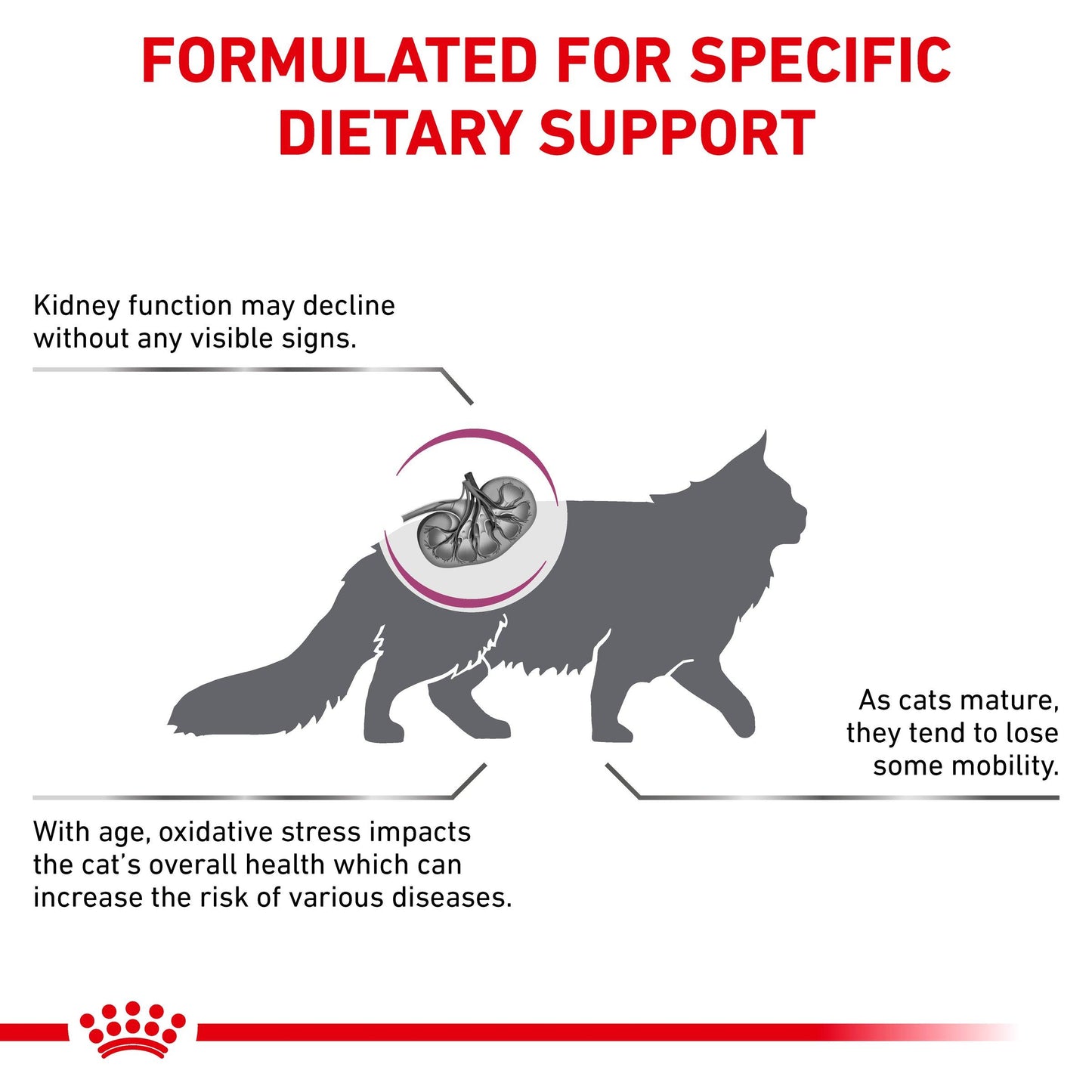 Royal Canin Veterinary Diet Early Renal Dry Cat Food