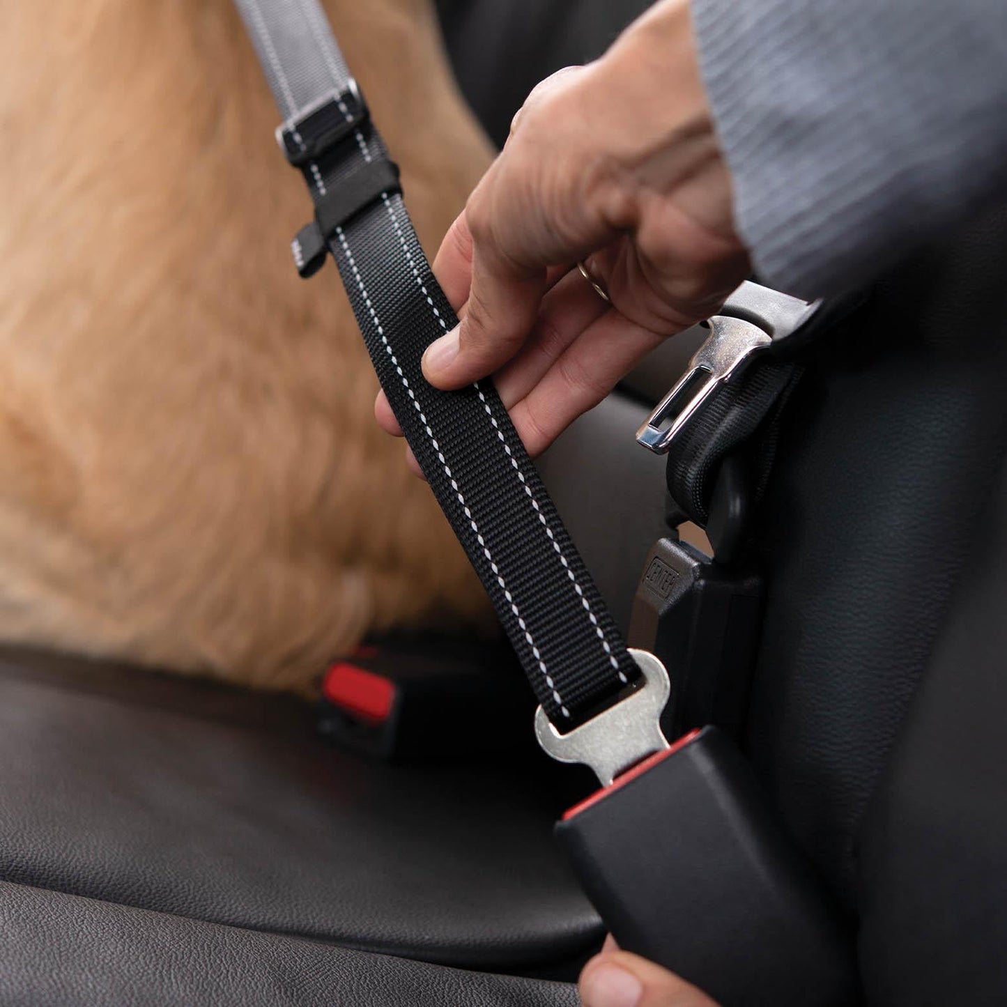 ROGZ Car-Safe Adjustable Seat Belt Clip