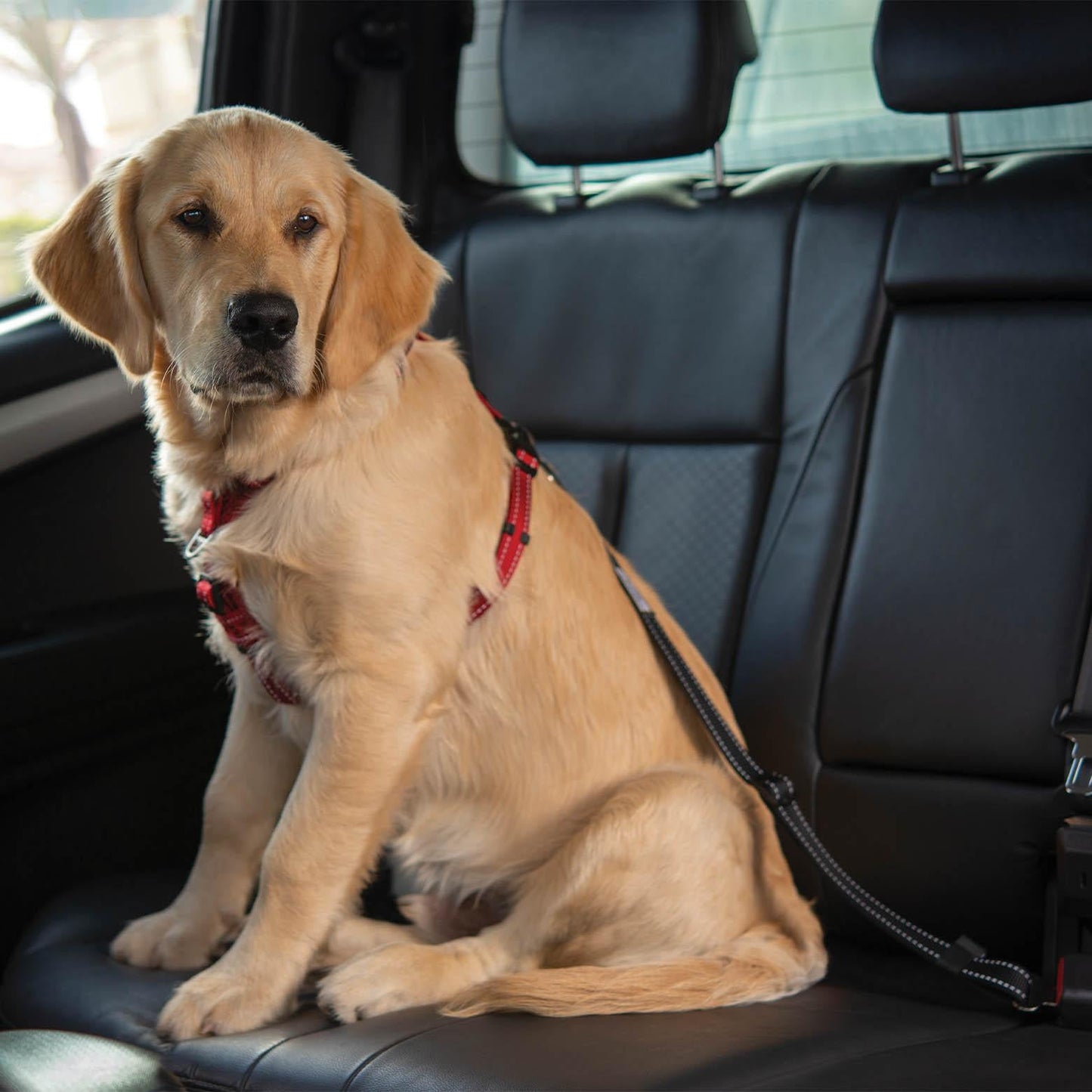 ROGZ Car-Safe Adjustable Seat Belt Clip