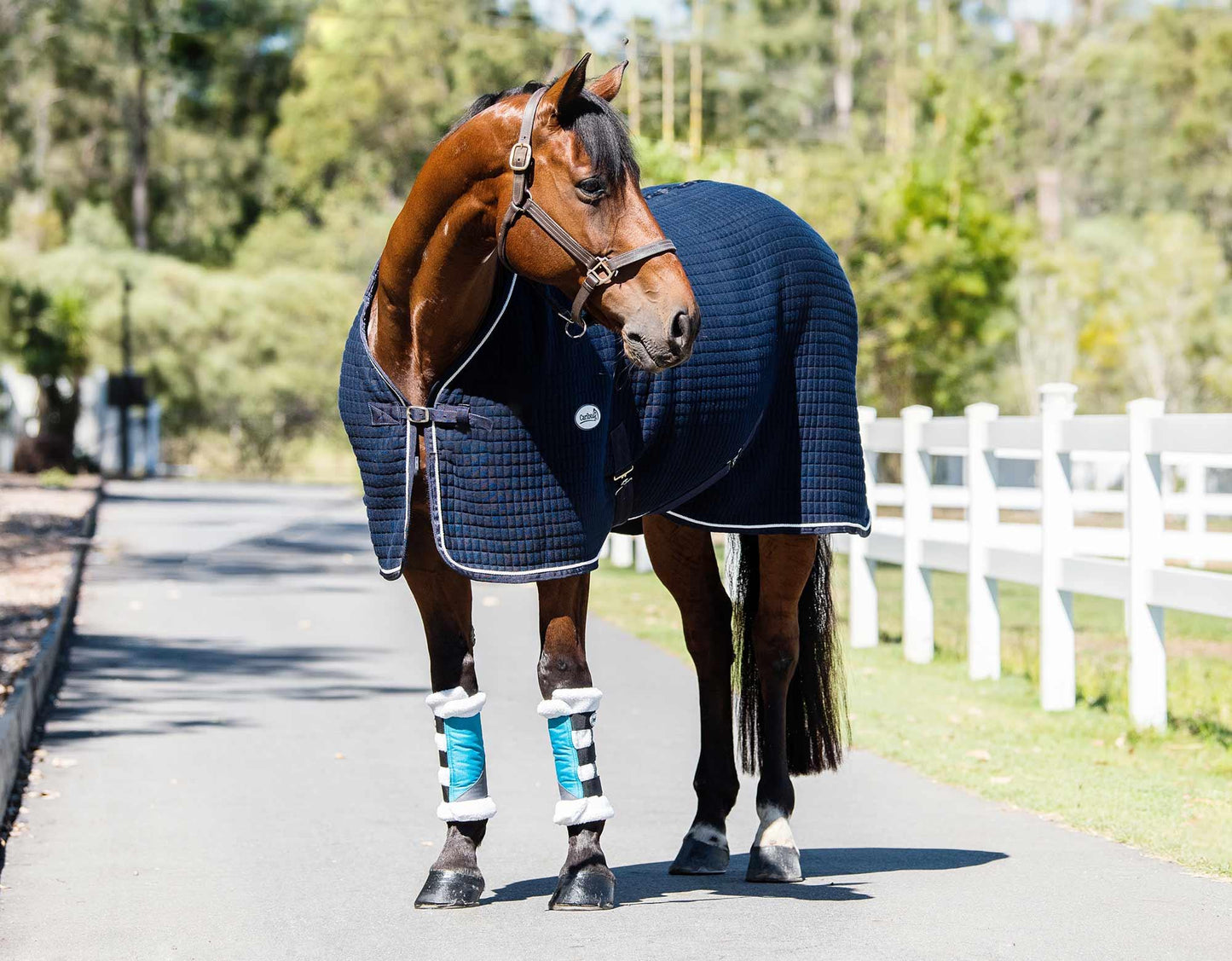 Caribu 1200D Paddock Boot