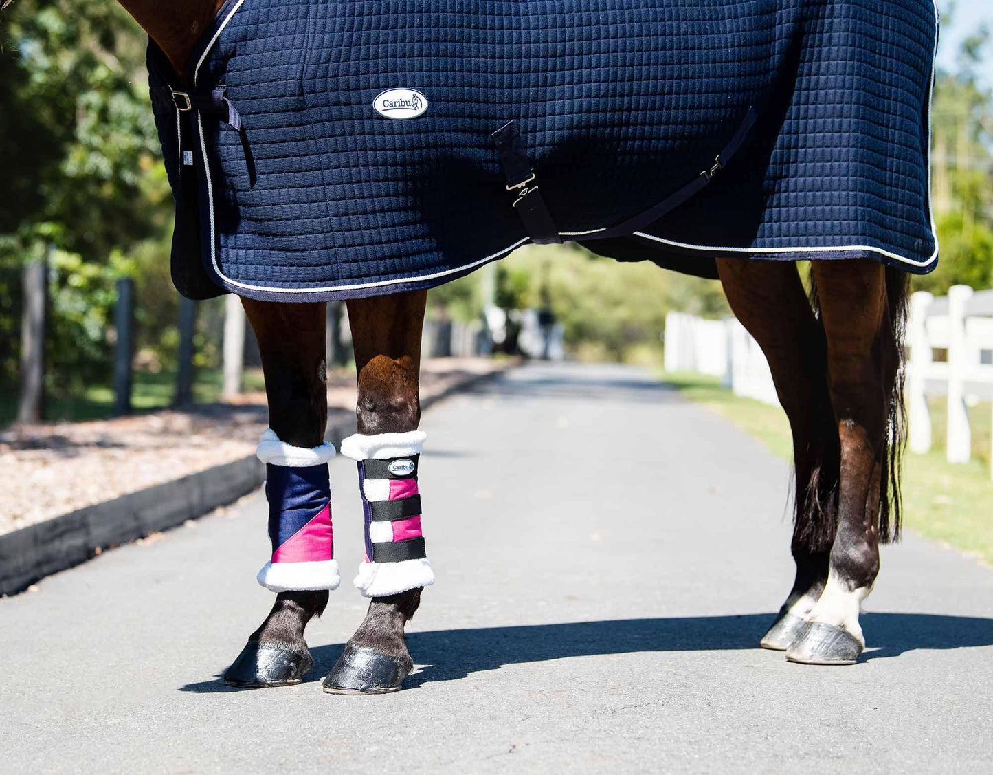 Caribu 1200D Paddock Boot