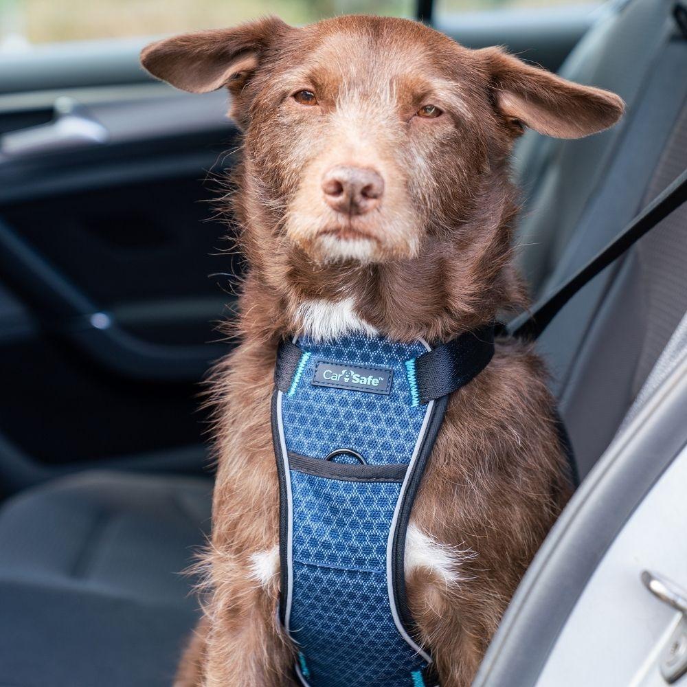 CarSafe Crash Tested Dog Harness