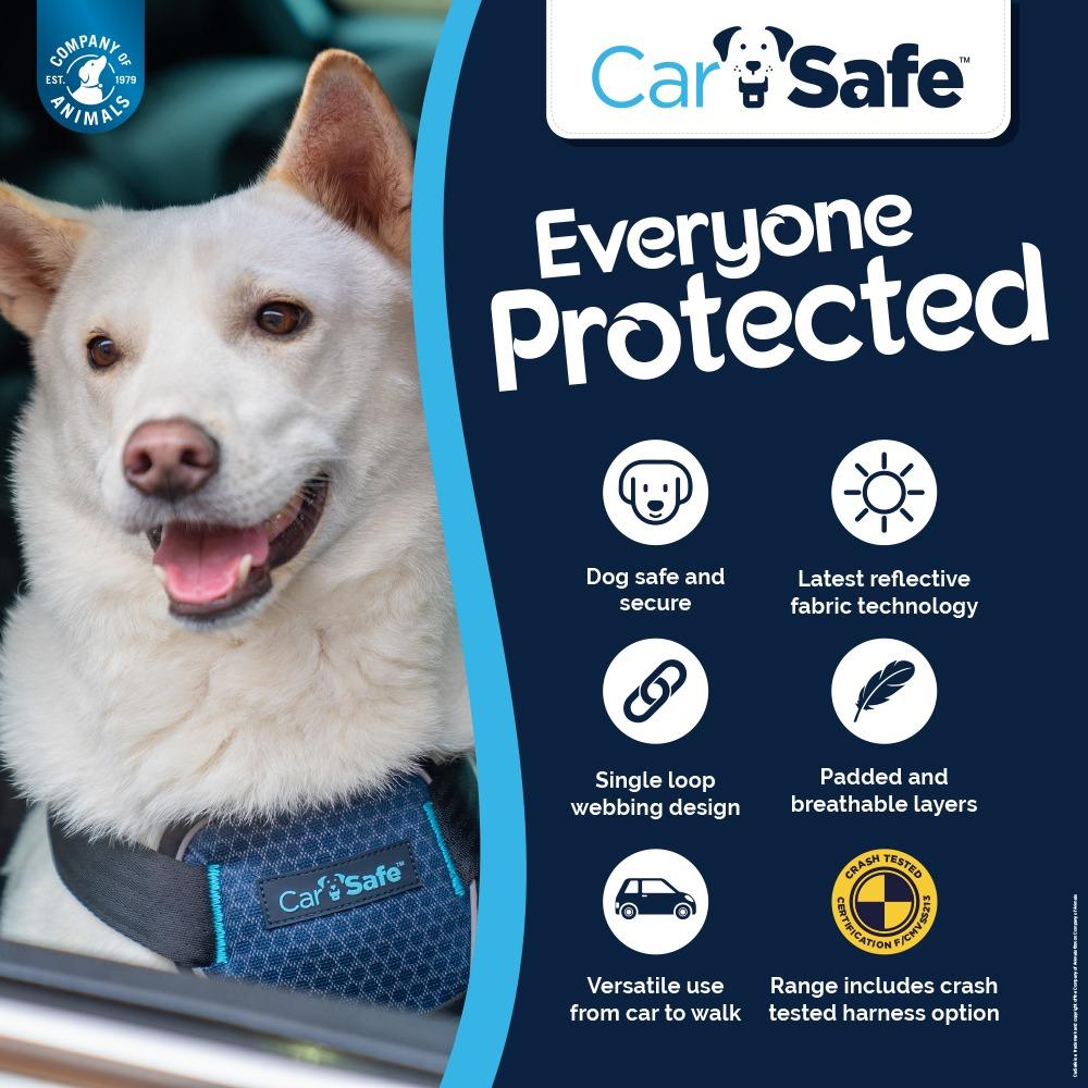 CarSafe Crash Tested Dog Harness