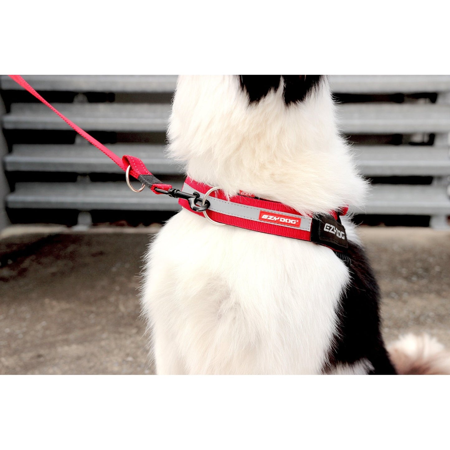 EzyDog UpFront D-Ring Accessory