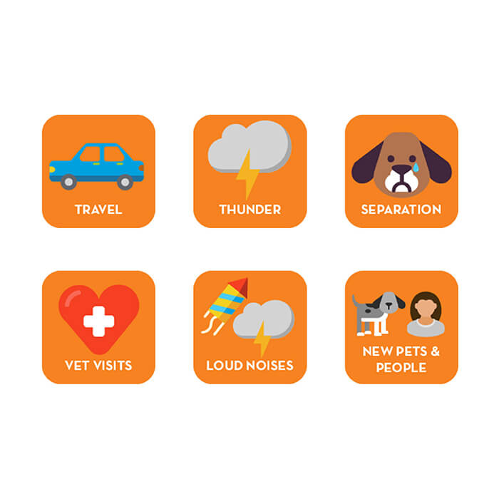 Thunder Wunder Calming Chews For Dogs 125g