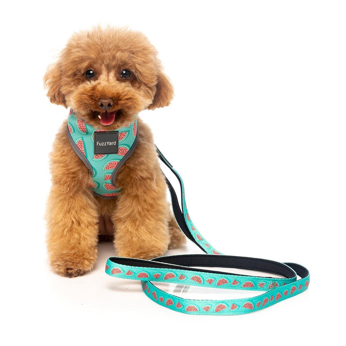 FUZZYARD Summer Punch Dog Lead