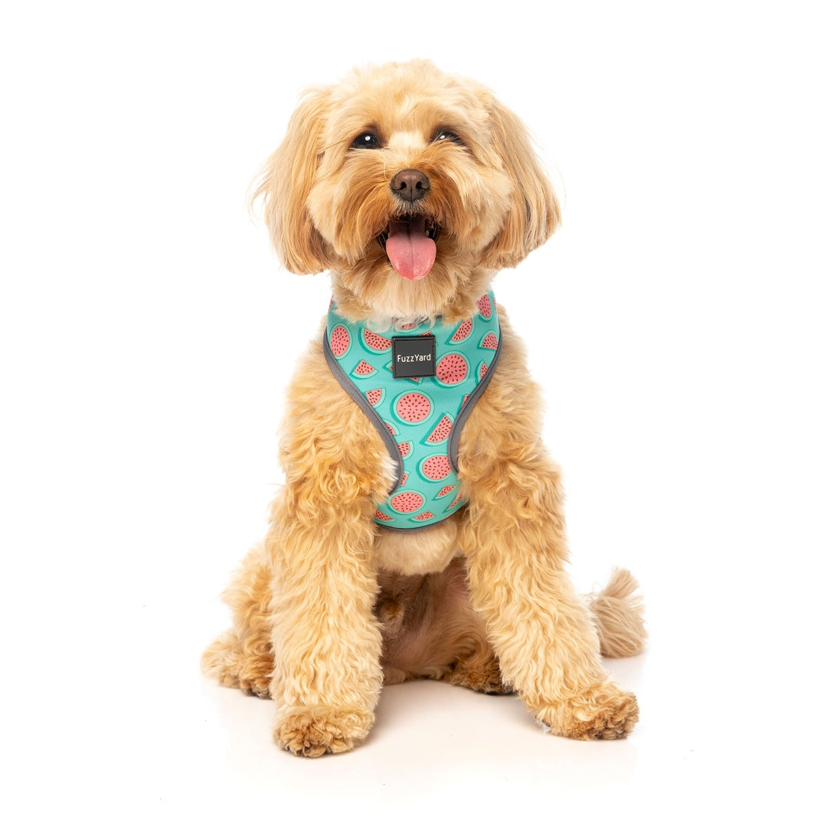 FuzzYard Summer Punch Dog Harness