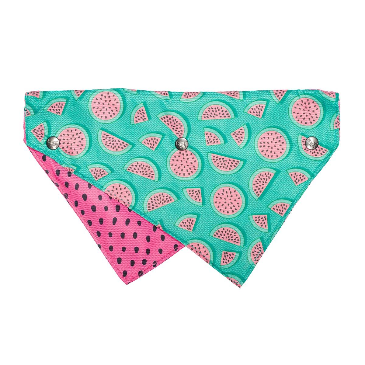 FuzzYard Summer Punch Dog Bandana