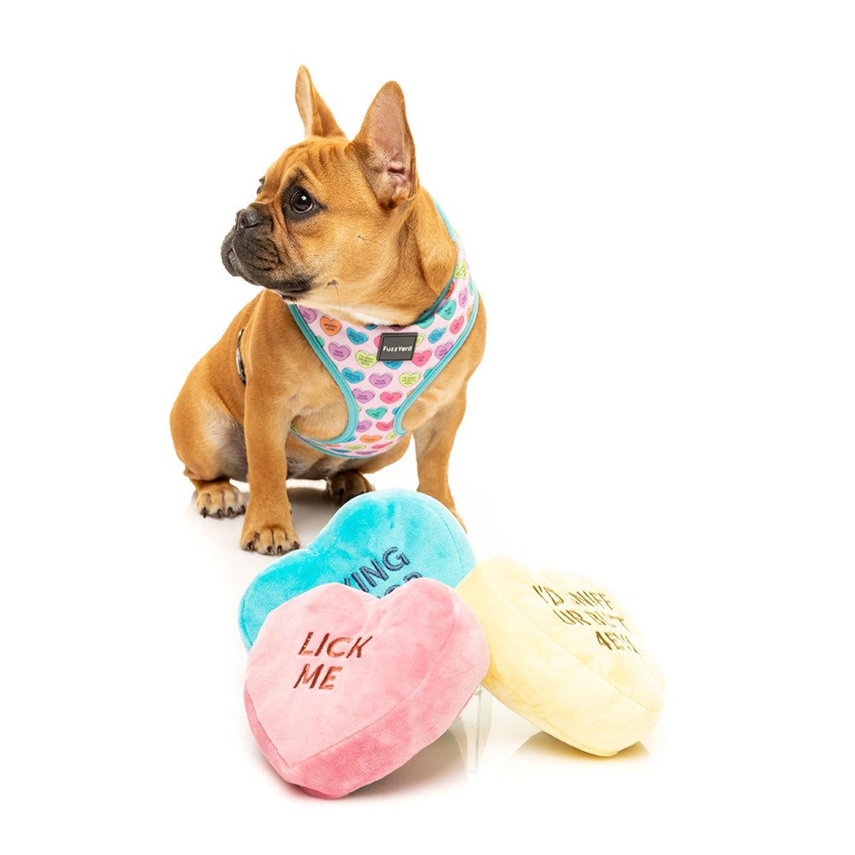 FuzzYard Candy Hearts Dog Harness