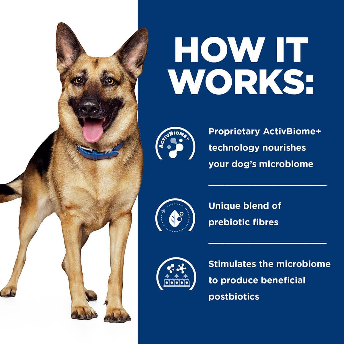 Hill's Prescription Diet Gastrointestinal Biome Care Dry Dog Food