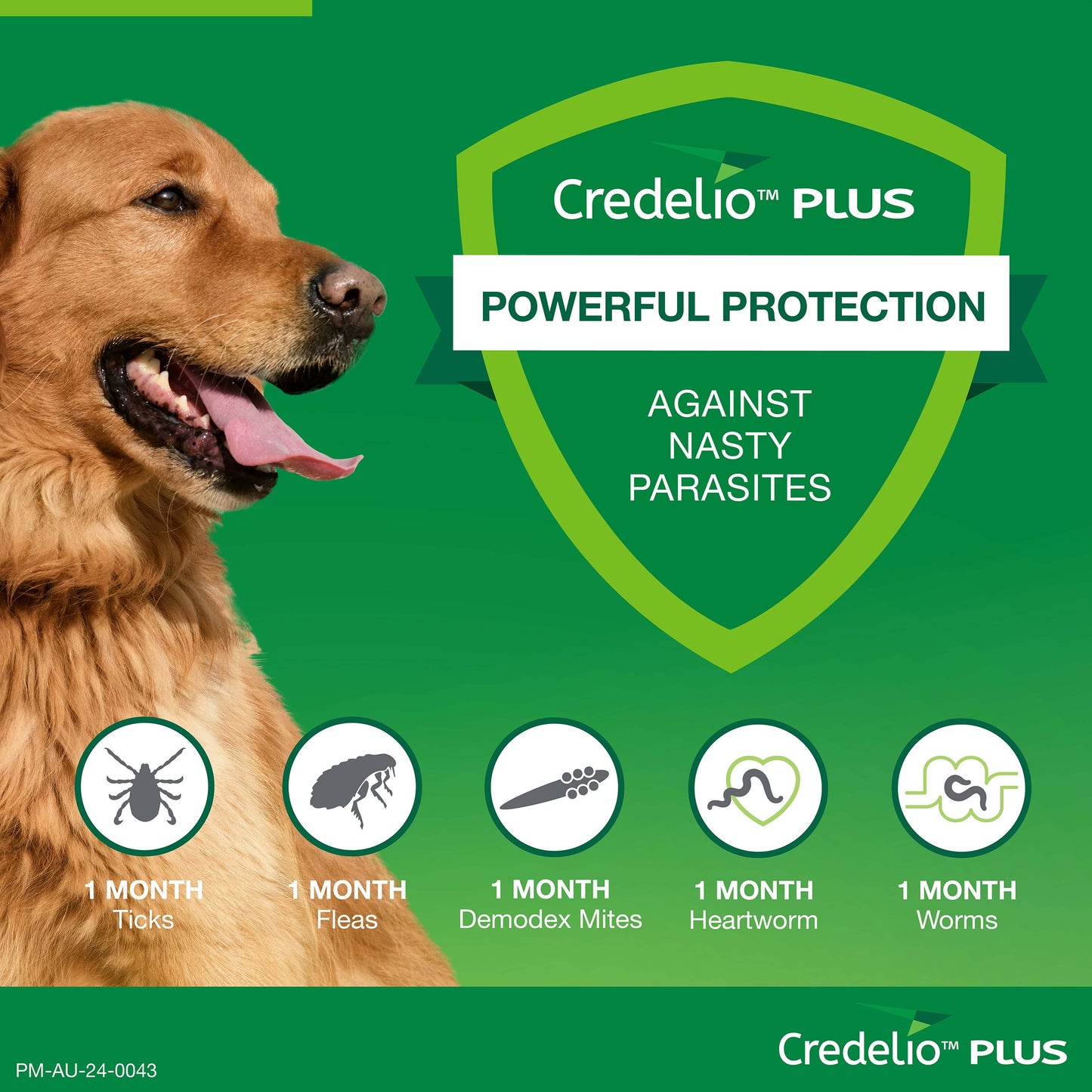 Credelio PLUS Chewable Tablets For Large Dogs 11-22kg