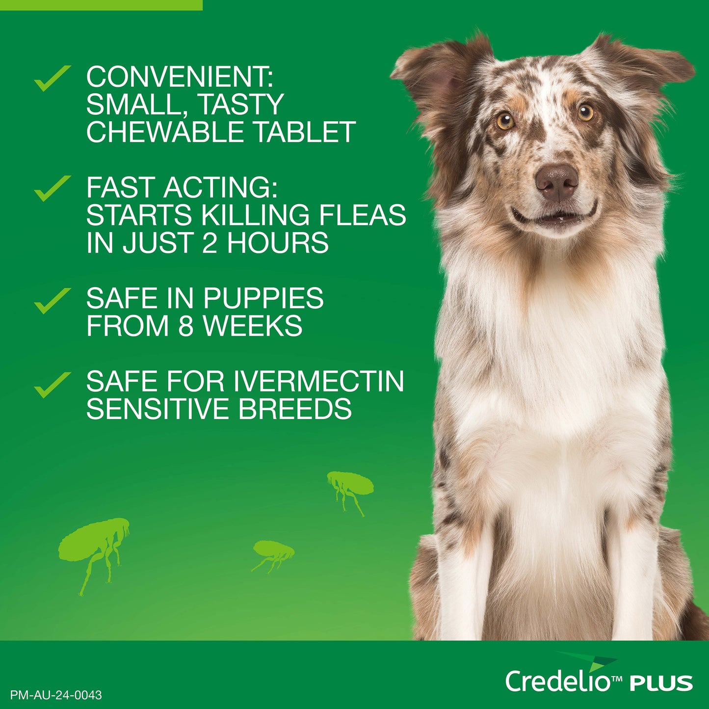 Credelio PLUS Chewable Tablets For Large Dogs 11-22kg