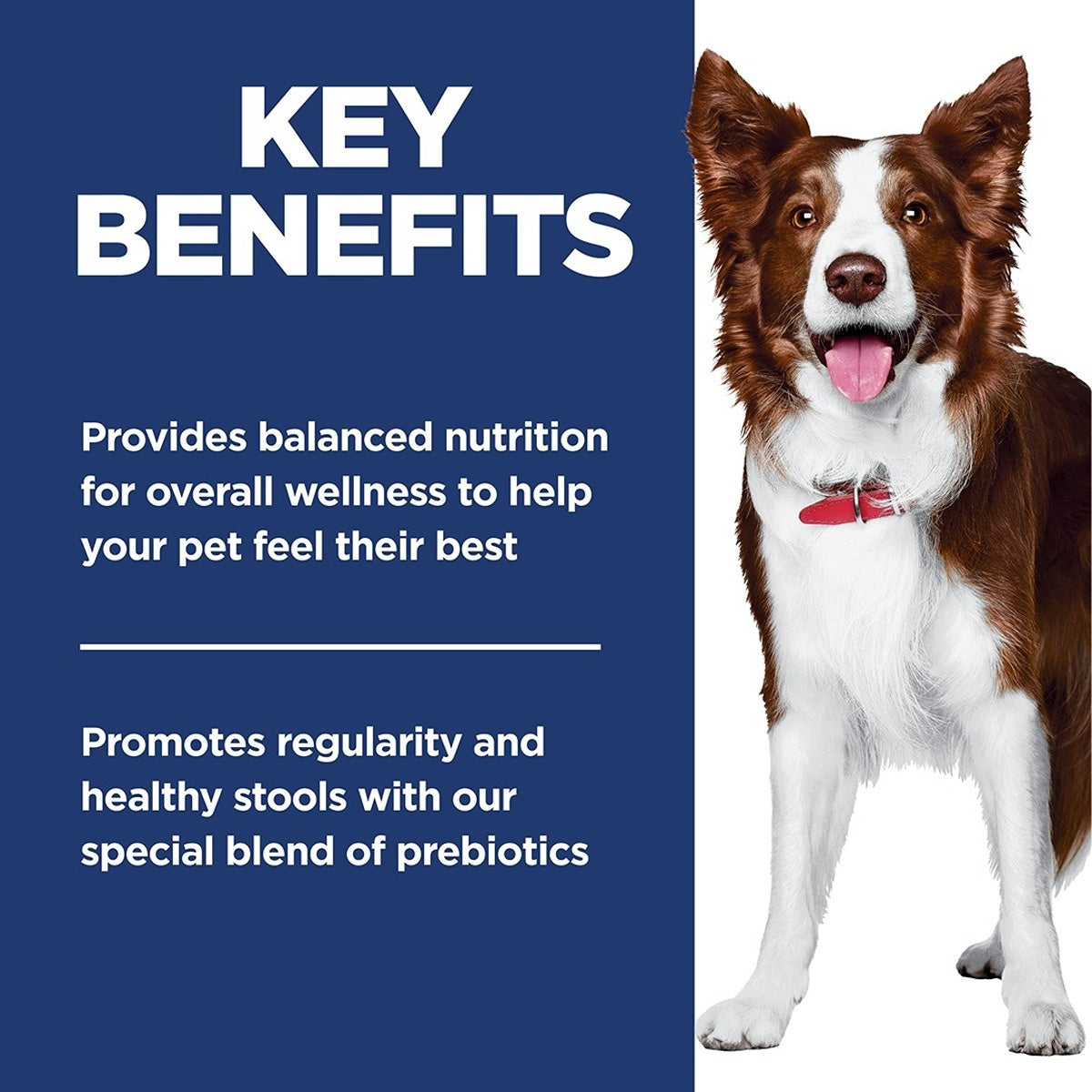 Hill's Science Diet Perfect Digestion Adult Dry Dog Food