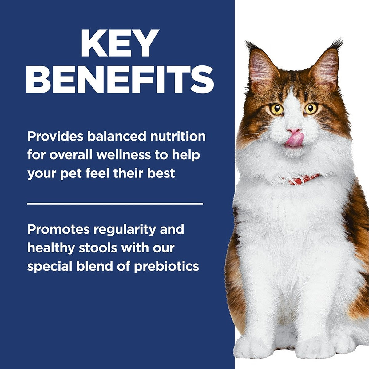 Hill's Science Diet Perfect Digestion Adult Dry Cat Food