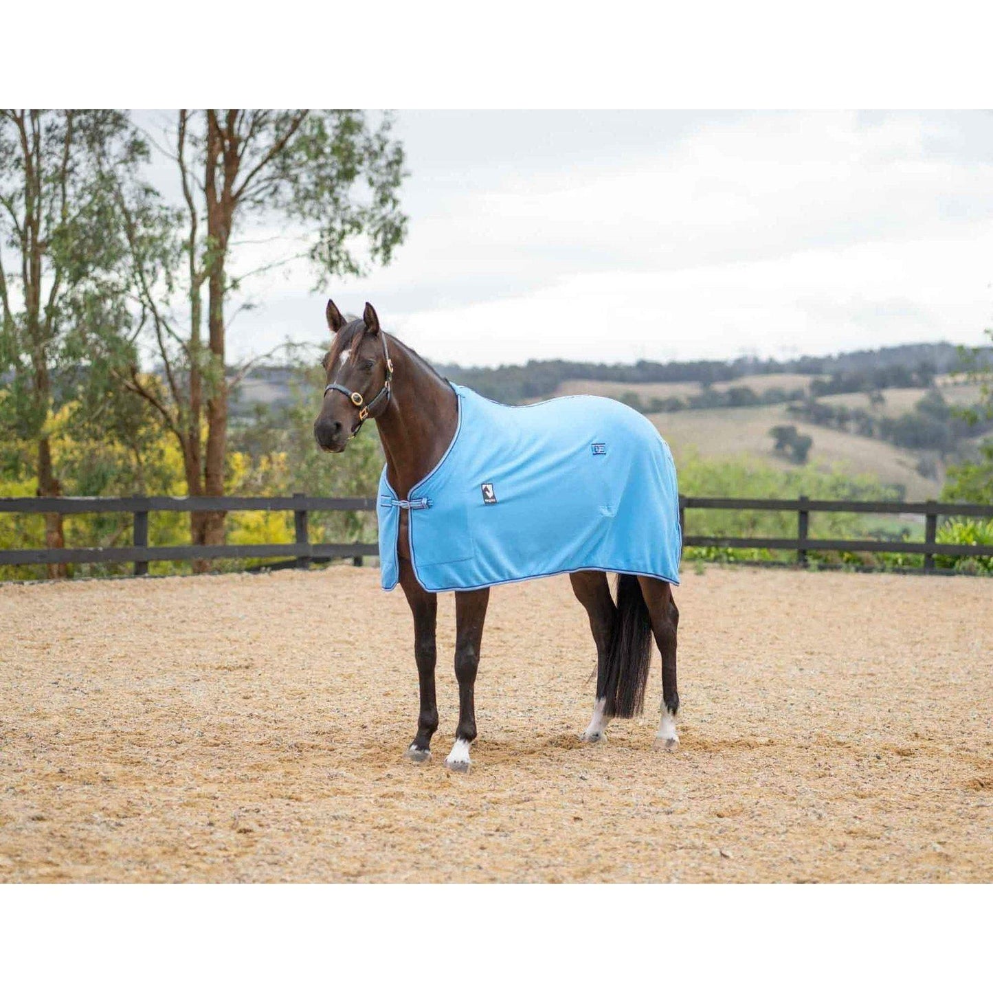 Kingsley Polar Fleece Rug