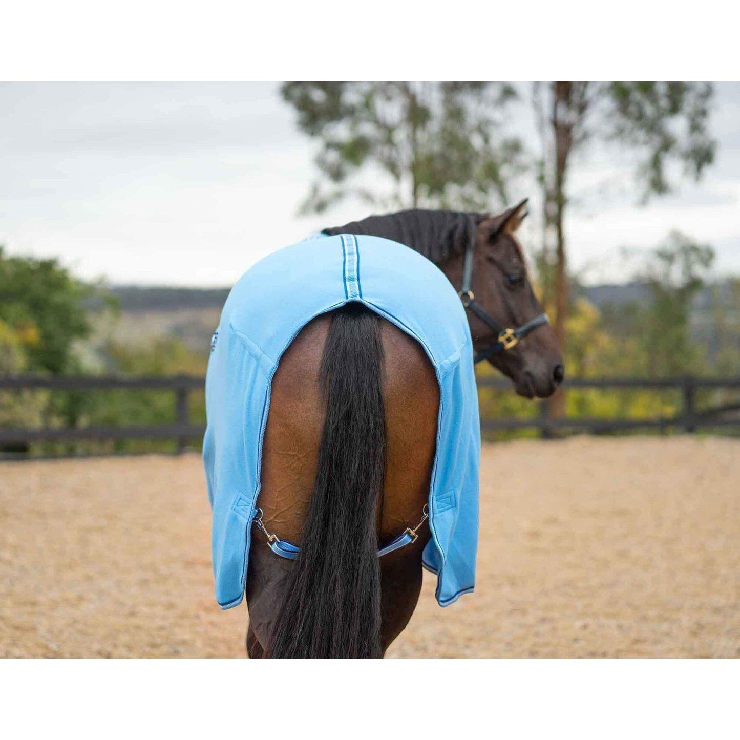 Kingsley Polar Fleece Rug