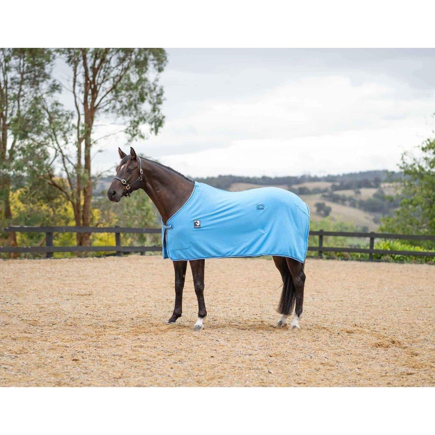 Kingsley Polar Fleece Rug